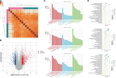 Identification of a Potential miRNA–mRNA Regulatory Network Associated With the Prognosis of HBV-ACLF